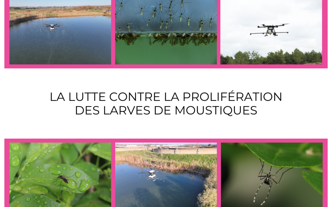 LA LUTTE CONTRE LA PROLIFERATION DES LARVES DE MOUSTIQUES